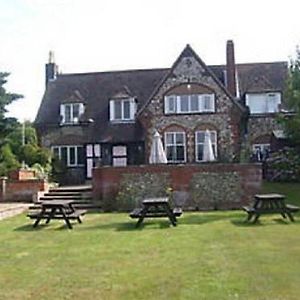 The William IV
